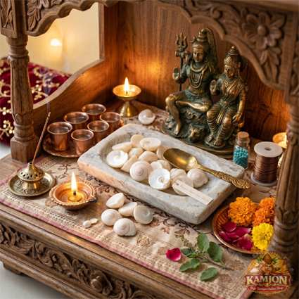  Premium Natural Shiva's Eye Shells (White Gomti Chakra)
