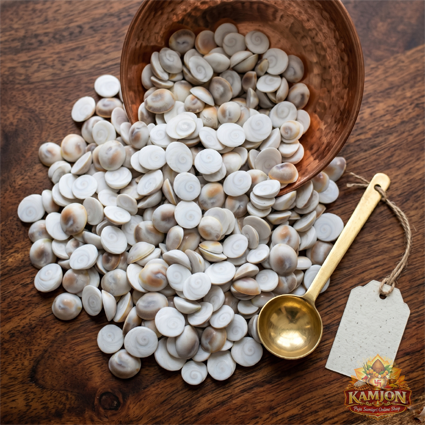  Premium Natural White Gomati Chakra for Pooja & Prosperity
